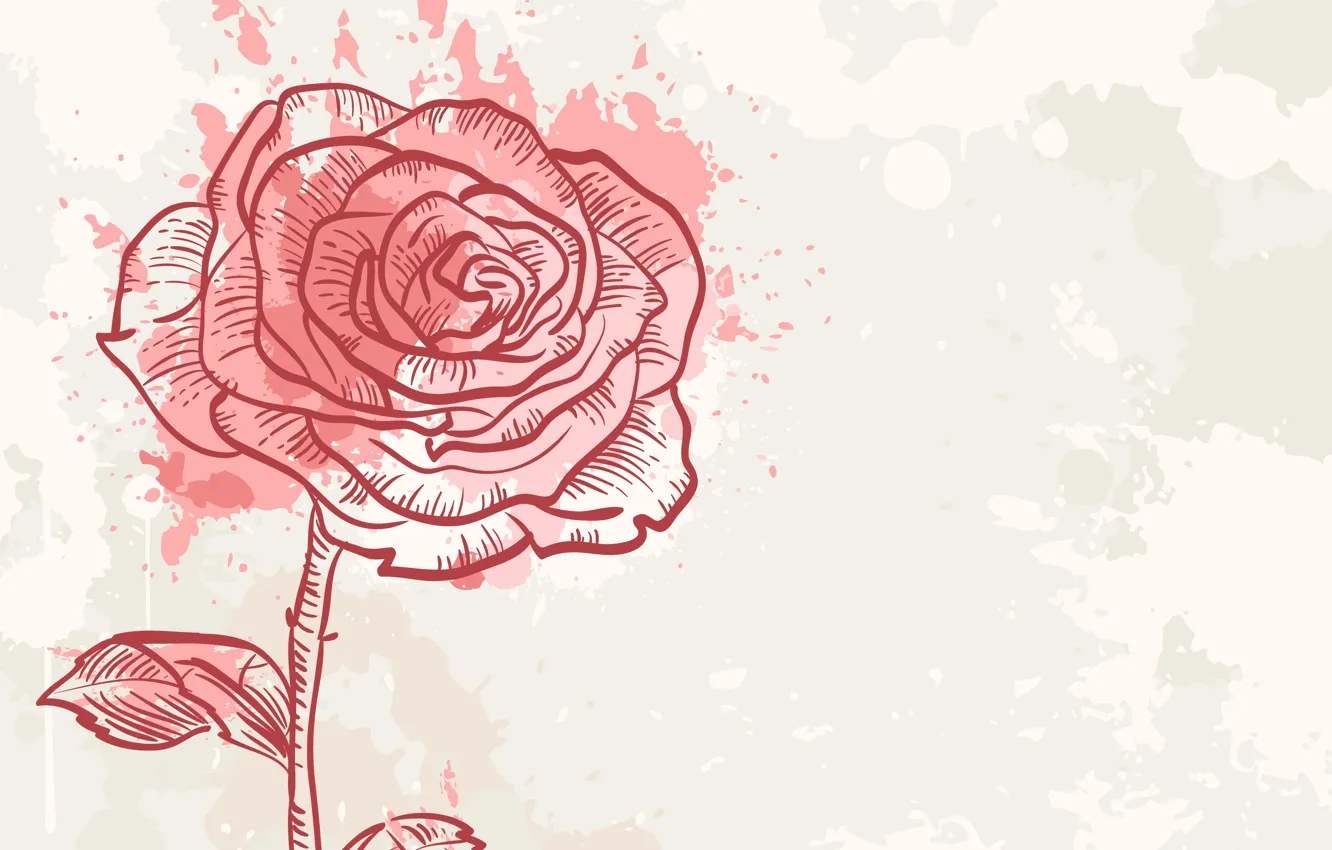 Photo wallpaper Rose, Flower, Background, Texture