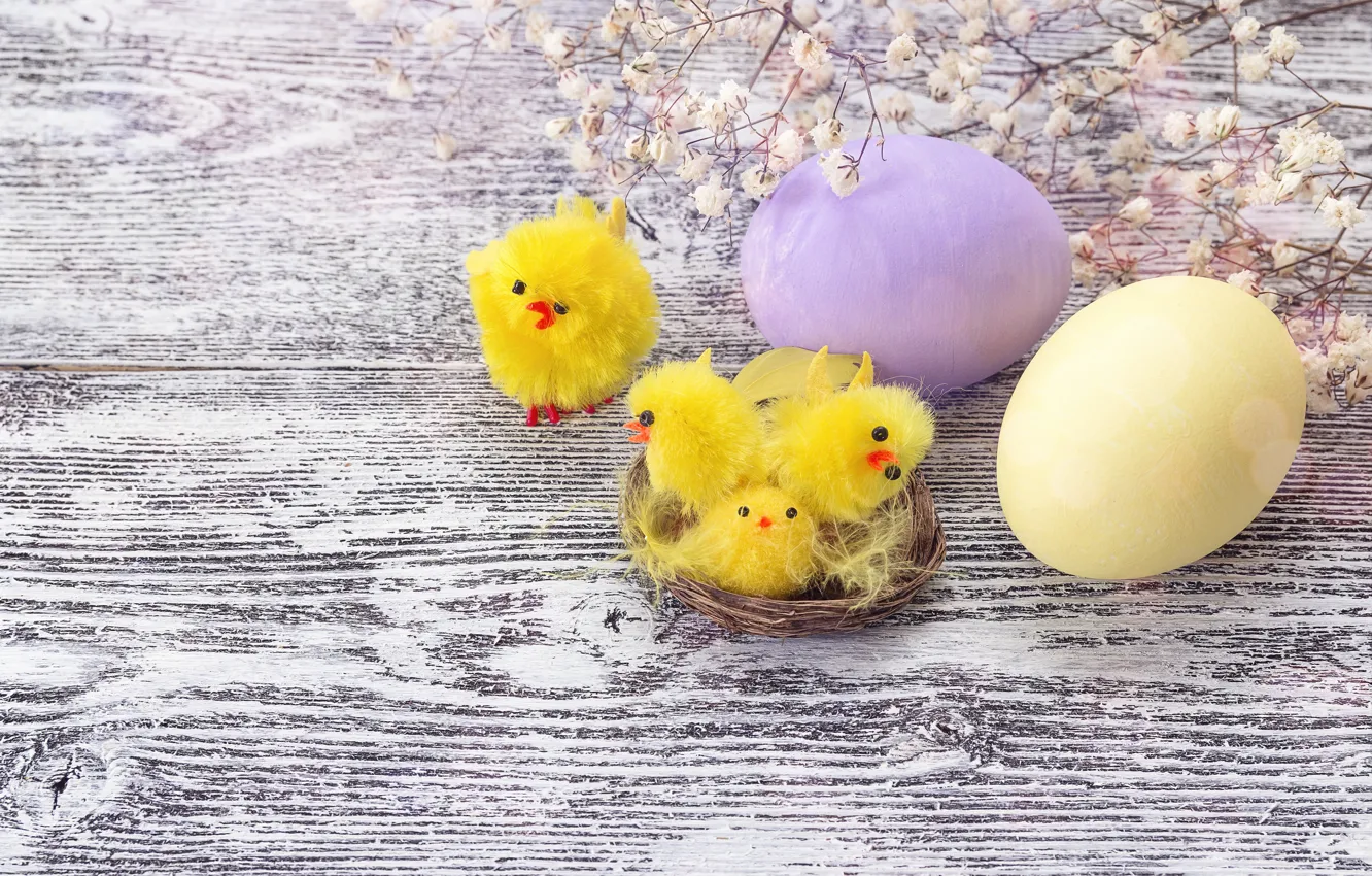 Photo wallpaper flowers, spring, Easter, wood, flowers, spring, Easter, eggs