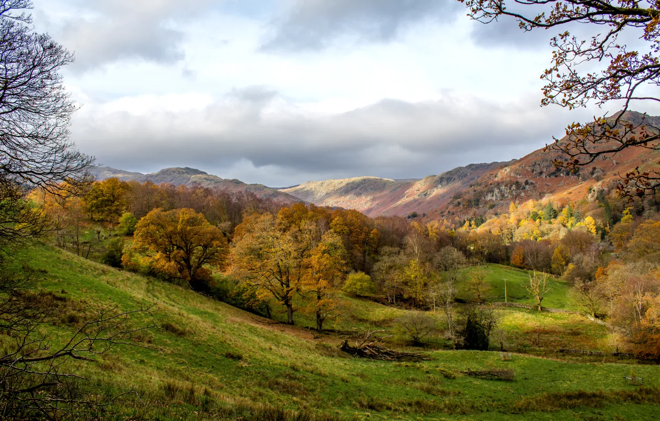 Photo wallpaper autumn, forest, grass, clouds, trees, mountains, England, Grasmere