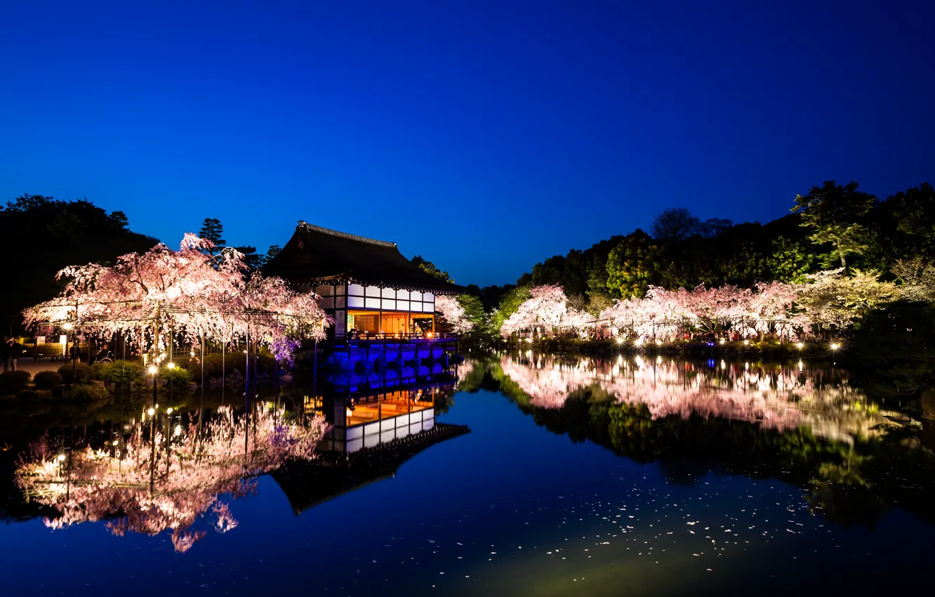 Photo wallpaper water, trees, landscape, nature, reflection, the evening, Japan, Sakura