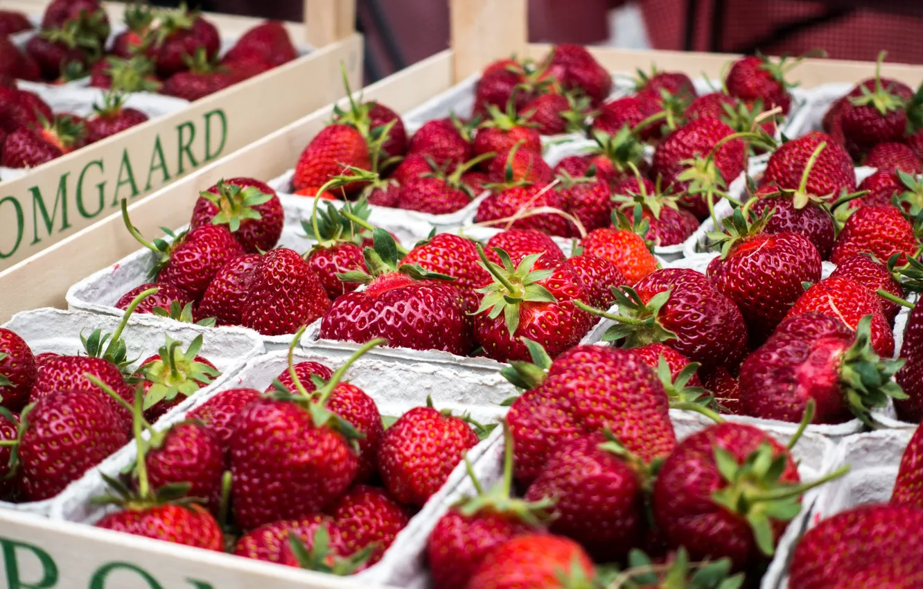 Photo wallpaper box, container, a lot, selling, box, bokeh, berries, market