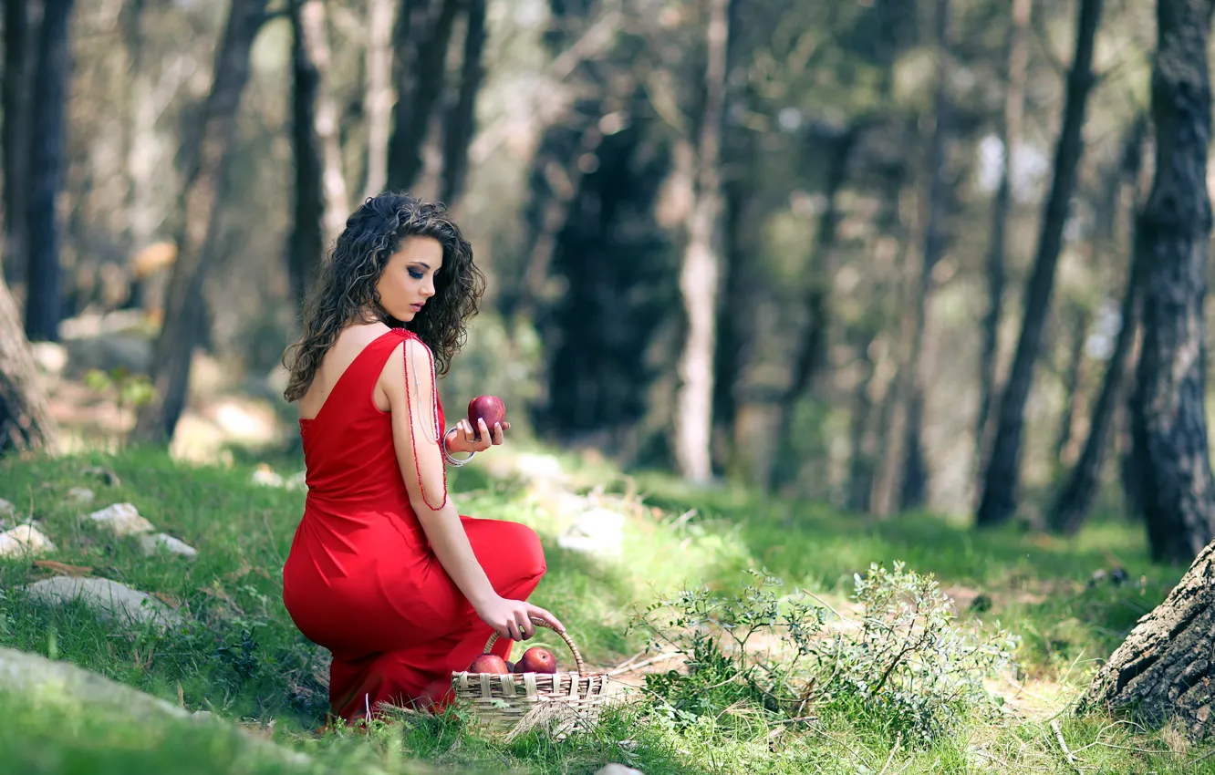 Photo wallpaper forest, girl, apples
