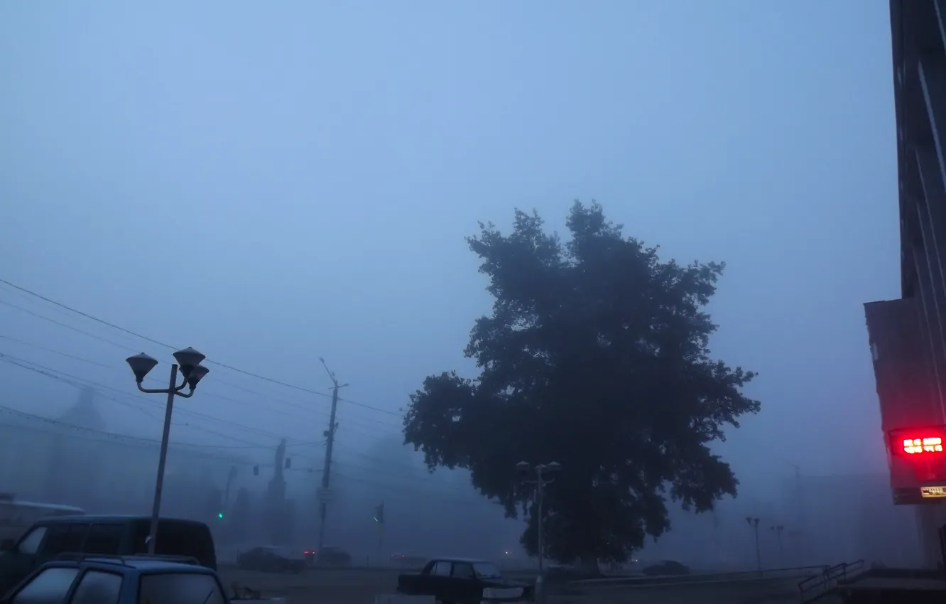 Photo wallpaper the city, fog, morning, area, poplar, Kaluga