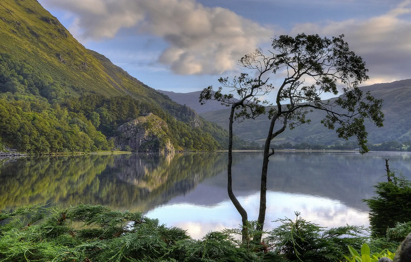 Photo wallpaper mountains, lake, reflection, tree, England, England, Wales, Wales