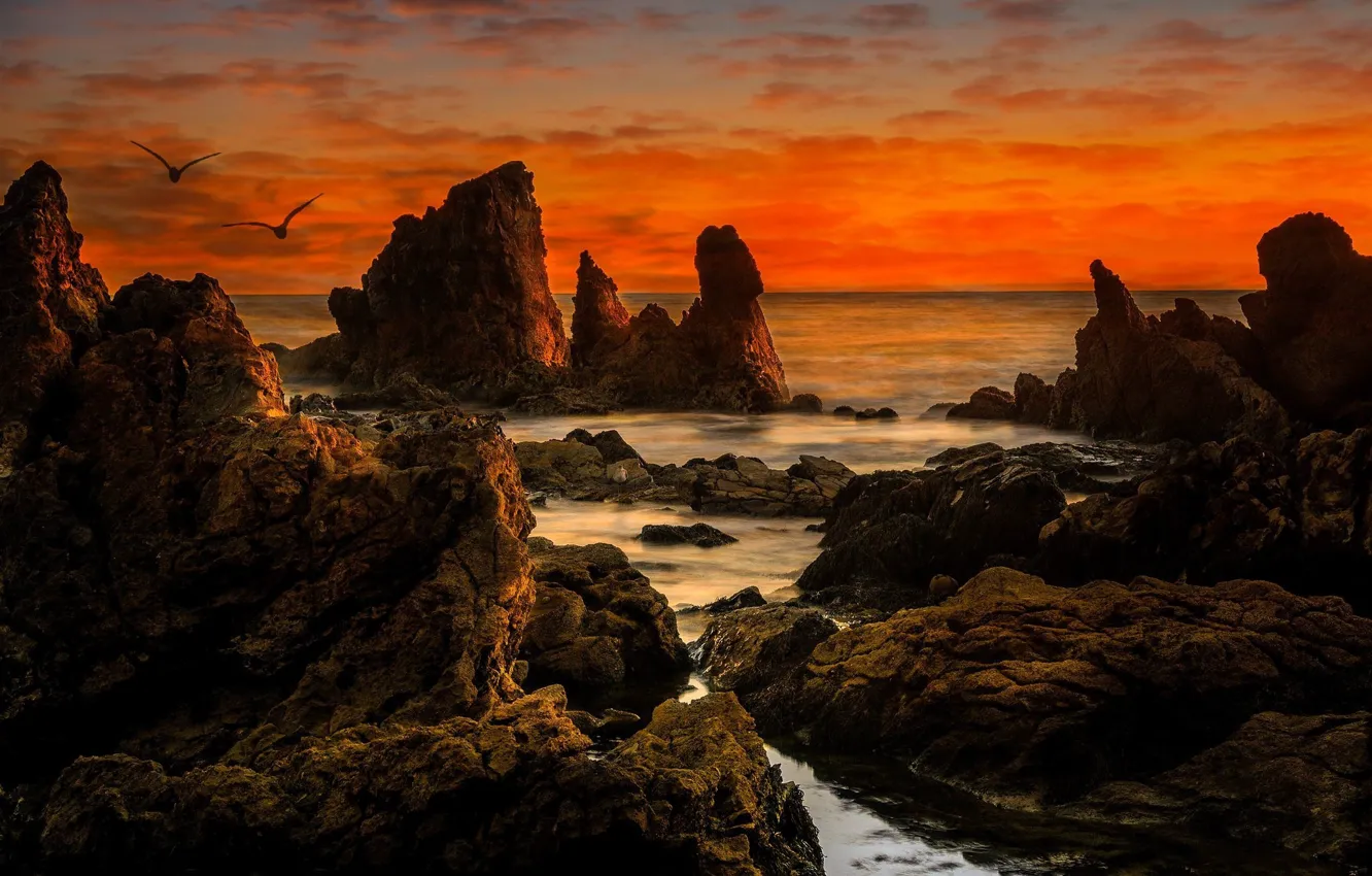 Photo wallpaper landscape, sunset, rocks, coast