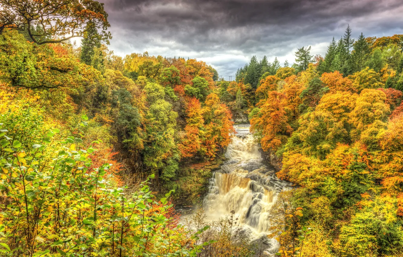 Photo wallpaper autumn, forest, trees, landscape, waterfall, HDR, forest, autumn