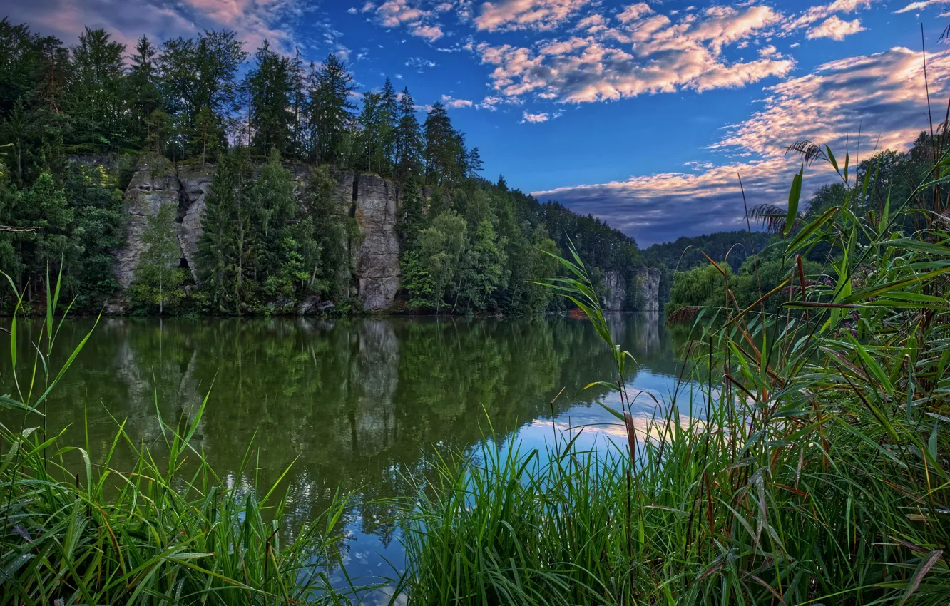 Photo wallpaper summer, river, shore