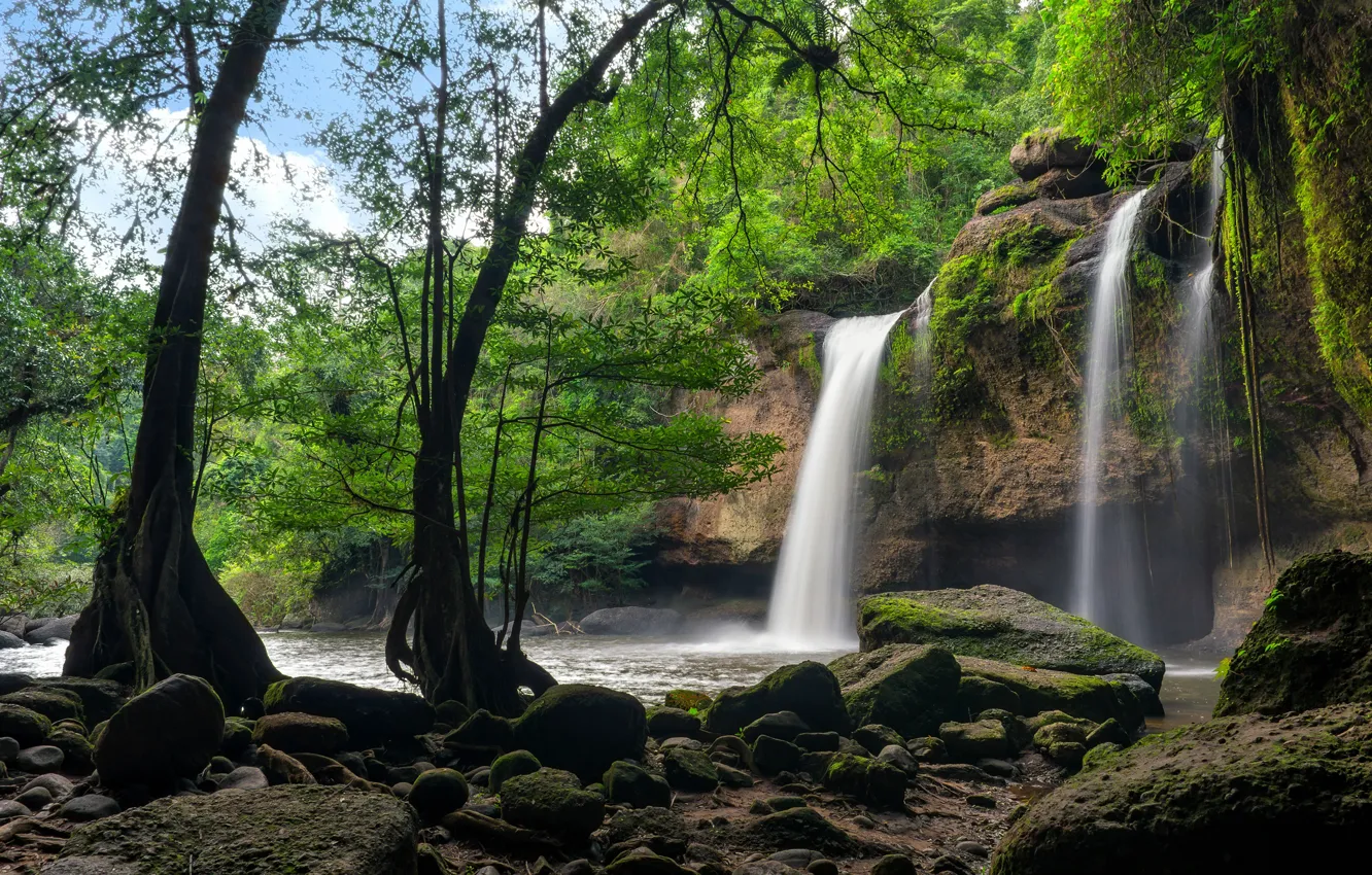 Photo wallpaper greens, forest, trees, tropics, stones, rocks, waterfall, moss