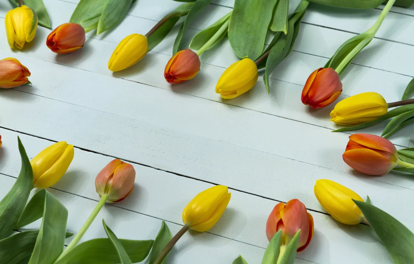 Photo wallpaper flowers, tulips, yellow, wood, tulips, orange, decorative