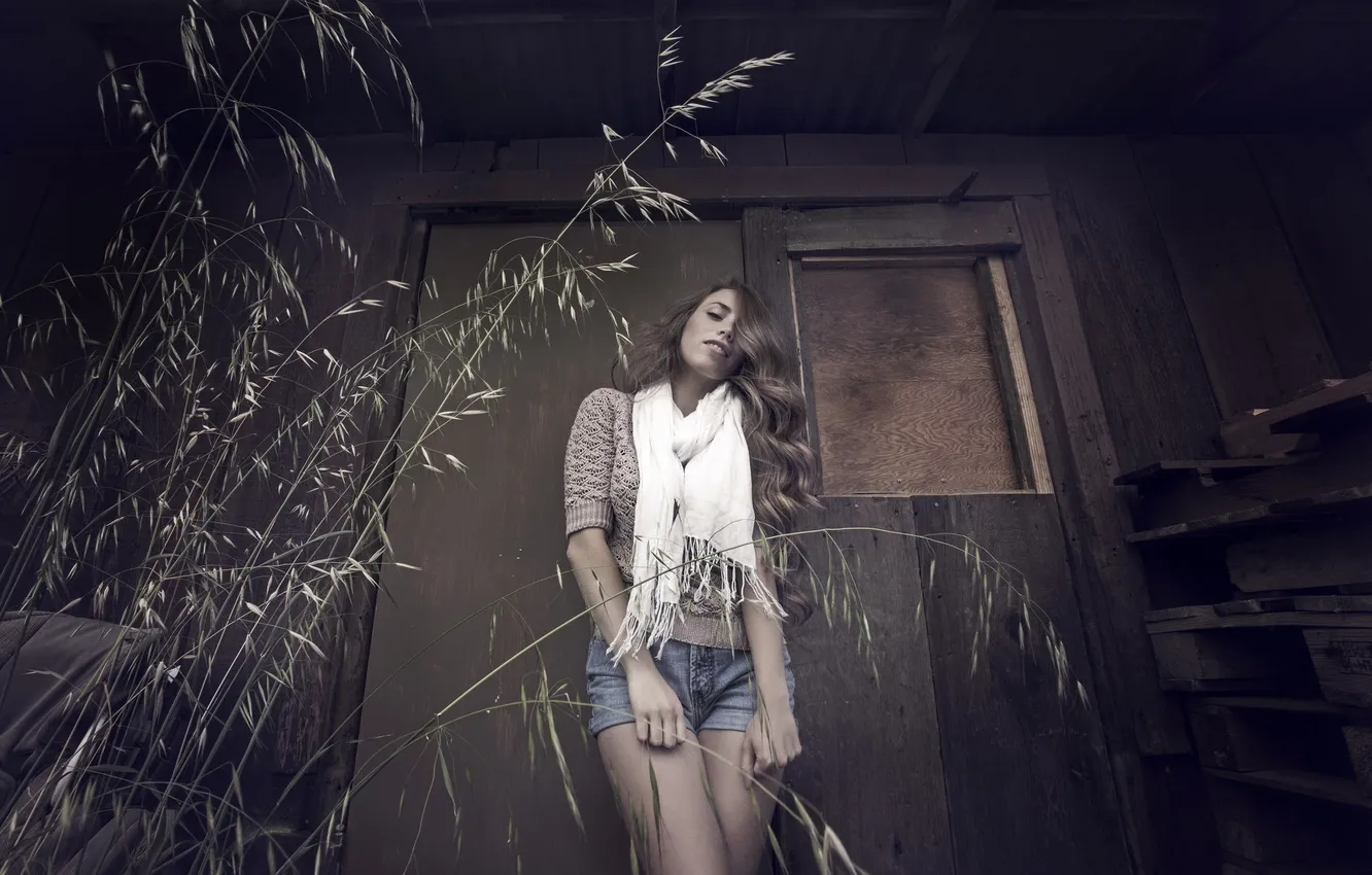 Photo wallpaper look, girl, background