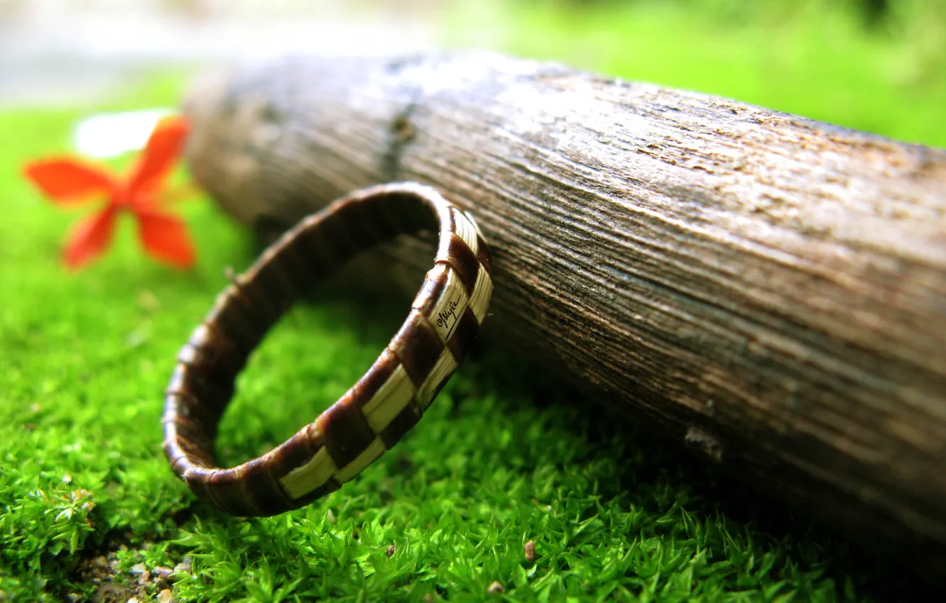 Photo wallpaper flower, wood, retro, ring, Clover, vingtage