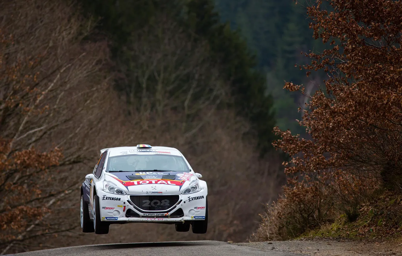 Photo wallpaper Jump, Peugeot, Rally, The front, 208, T16, ERC