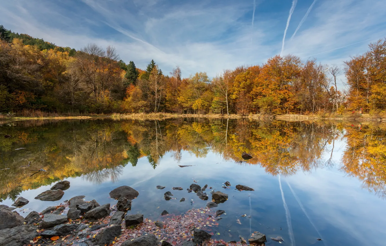 Photo wallpaper autumn, forest, landscape, nature, lake, stones