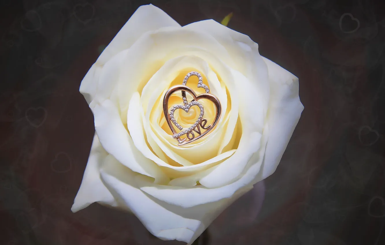 Photo wallpaper flower, macro, rose, pendant, hearts, decoration