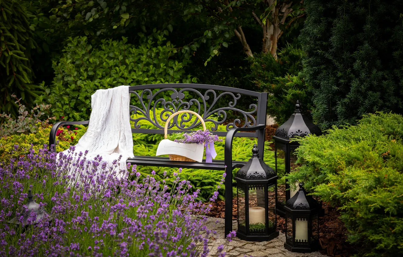 Photo wallpaper flowers, bench, lights, plaid, lavender