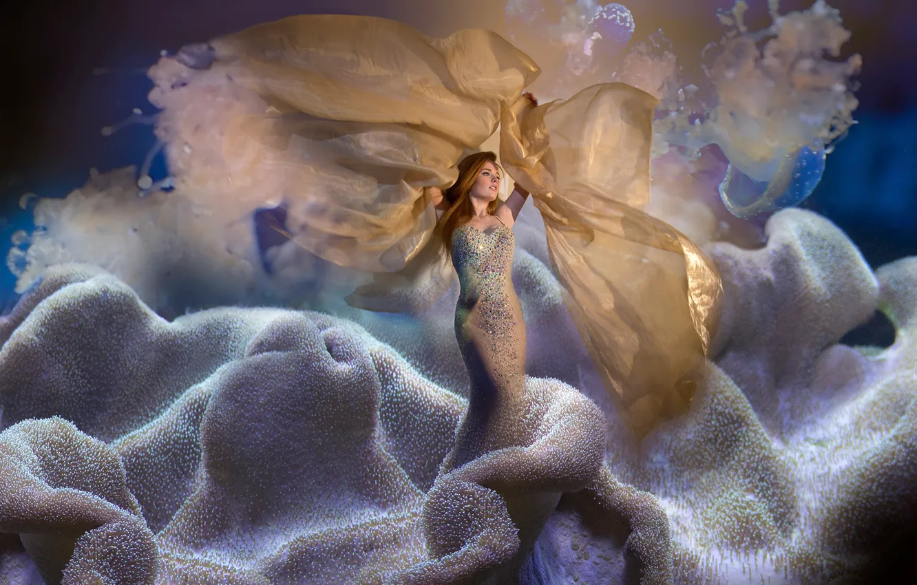 Photo wallpaper fantasy, mermaid, art, coral, Fleeting Moment, Coby Bruin
