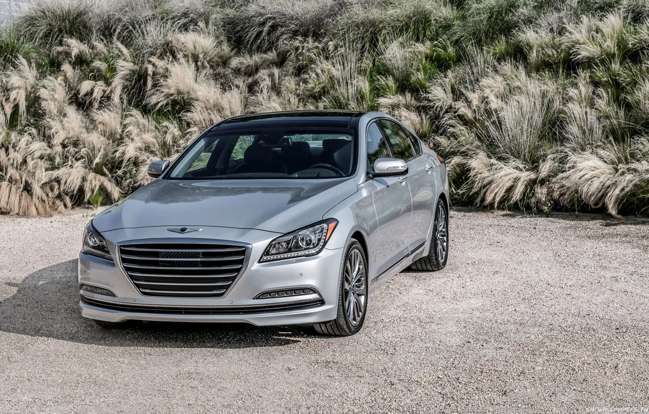 Photo wallpaper car, machine, grass, sedan, grey, Genesis, gray car, Genesis G80