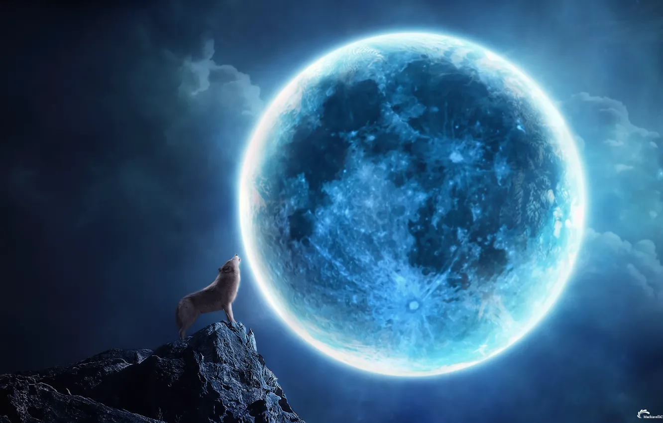 Photo wallpaper night, rock, collage, the moon, wolf, howl