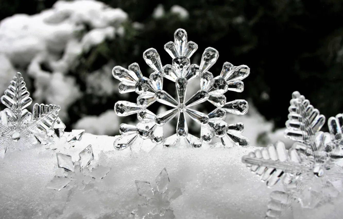 Photo wallpaper ice, winter, snow, snowflakes, pattern, figure, frost, form