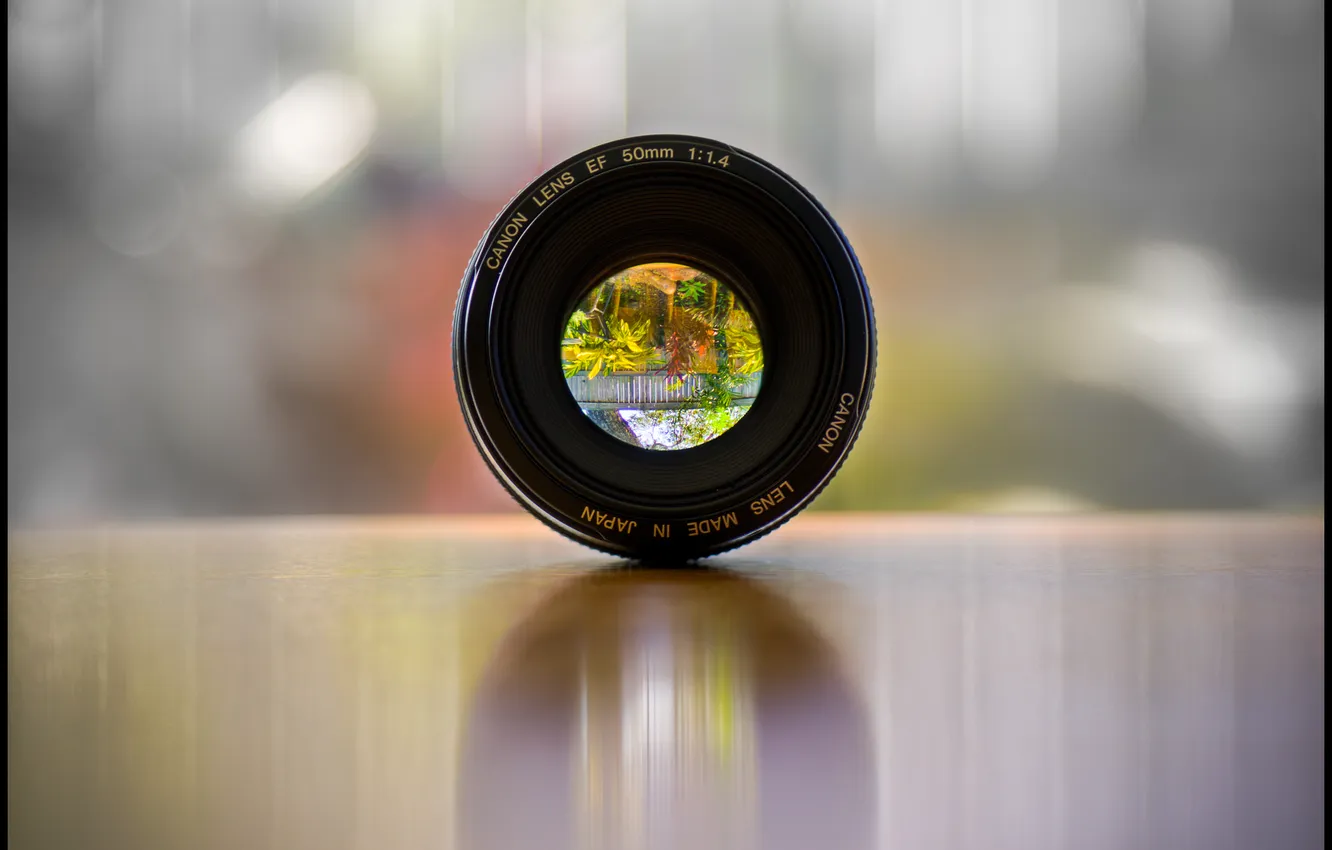 Photo wallpaper flowers, table, the fence, garden, pot, Canon, lenses, through the lens