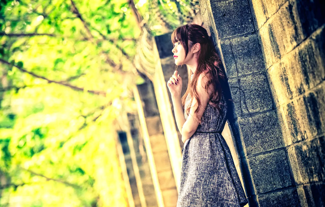 Photo wallpaper beauty, East, Xin