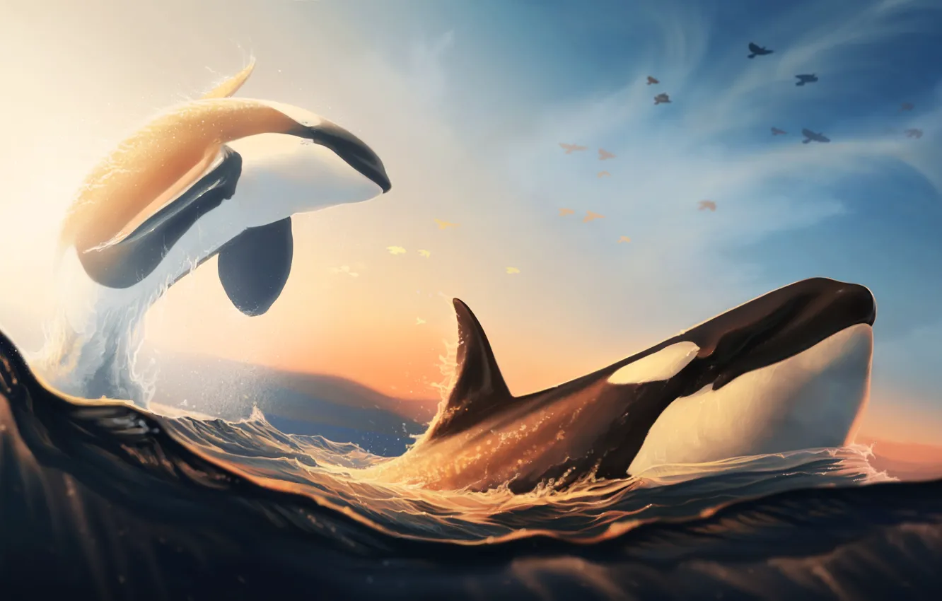 Photo wallpaper sea, the sky, orcas, by Ciorano