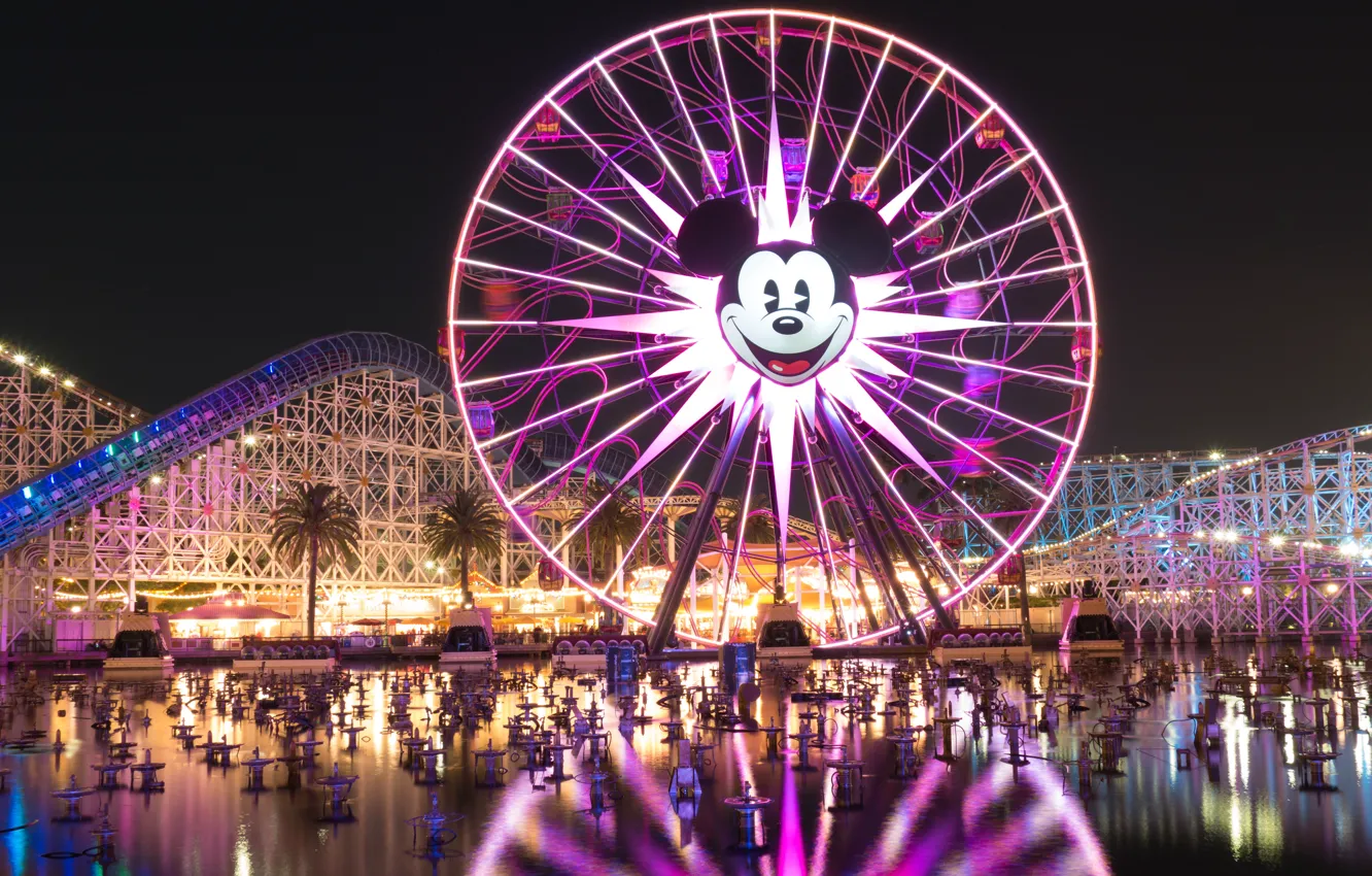 Photo wallpaper circles, lights, Disneyland, entertainment