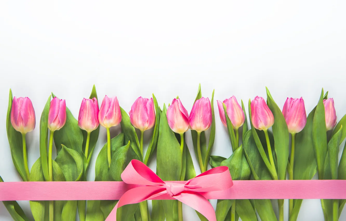 Photo wallpaper flowers, background, tape, tulips, pink, Diliana Nikolova