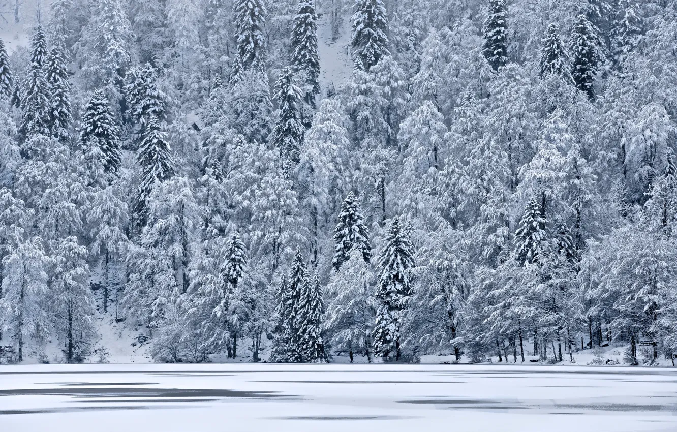 Photo wallpaper ice, winter, snow, trees, mountains, lake, tree, slope