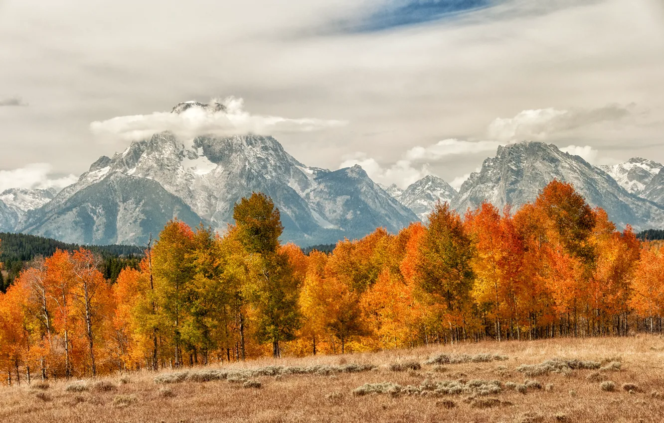 Photo wallpaper autumn, forest, clouds, trees, mountains, tops