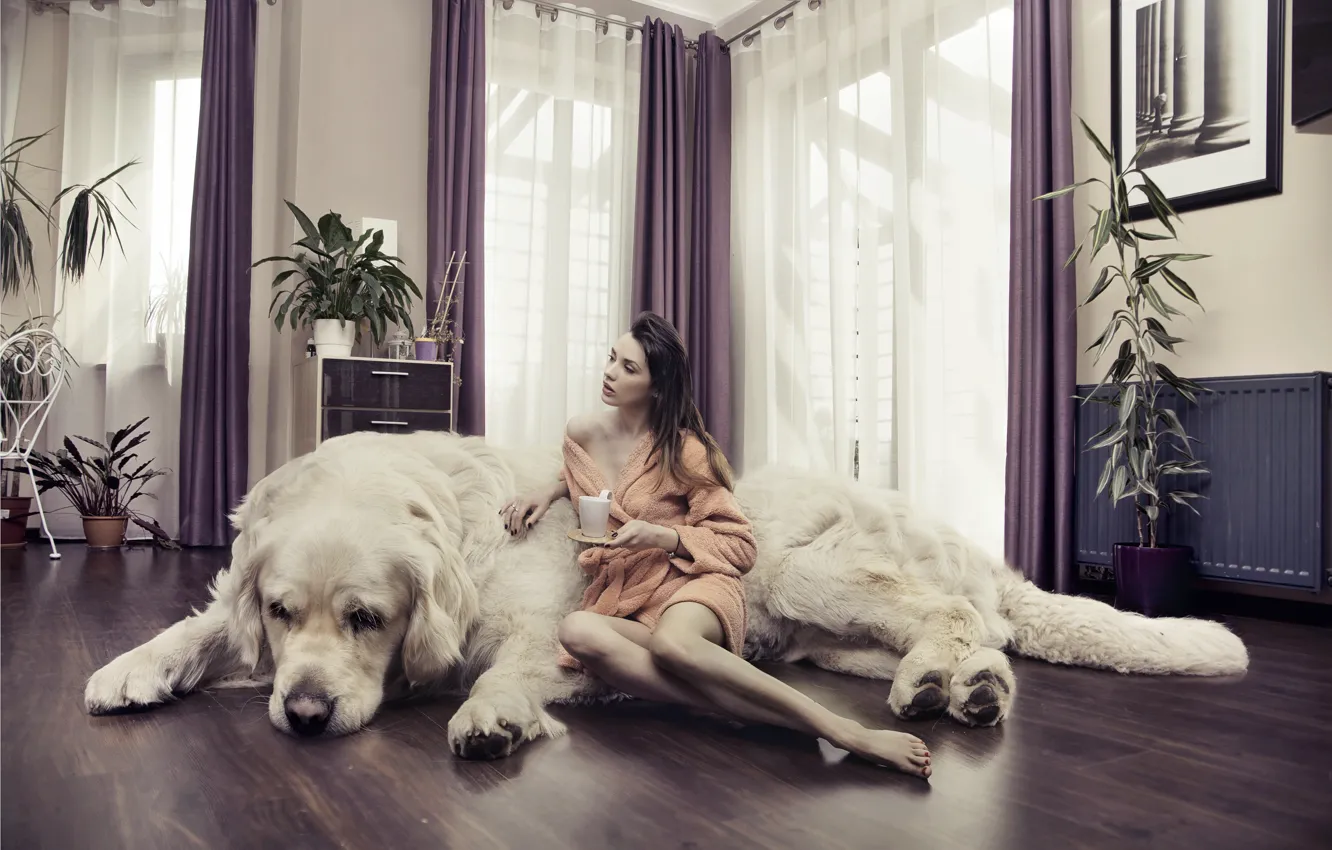 Photo wallpaper girl, creative, room, dog, plants, mug, brown hair, curtains