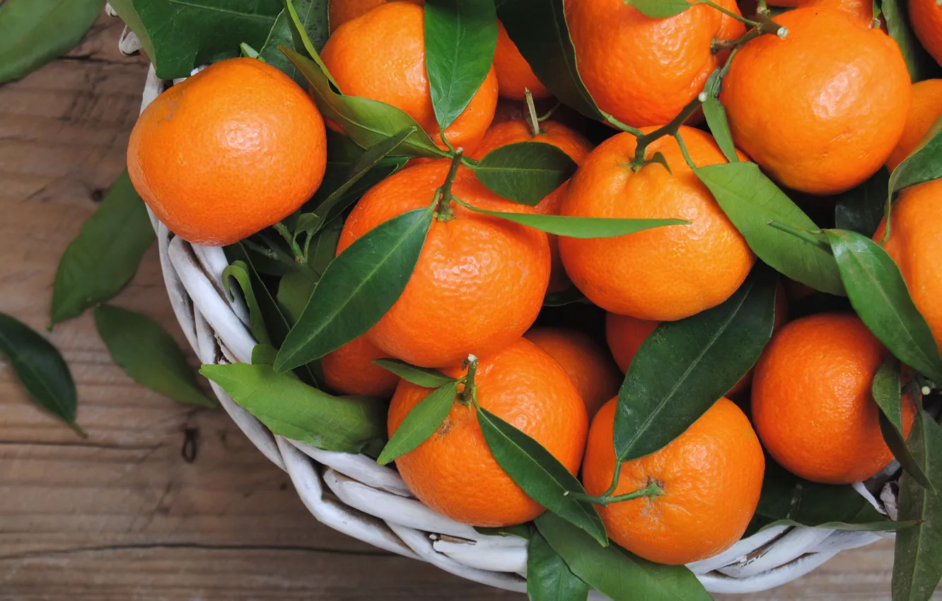 Photo wallpaper citrus, leaves, tangerines