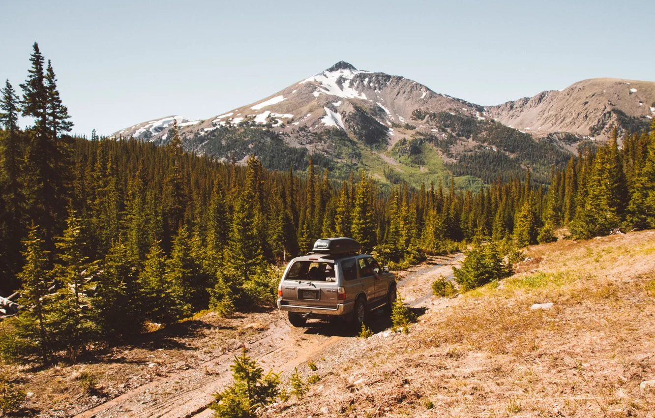 Photo wallpaper car, trees, nature, wood, mountain, wild, Holly Mandarich
