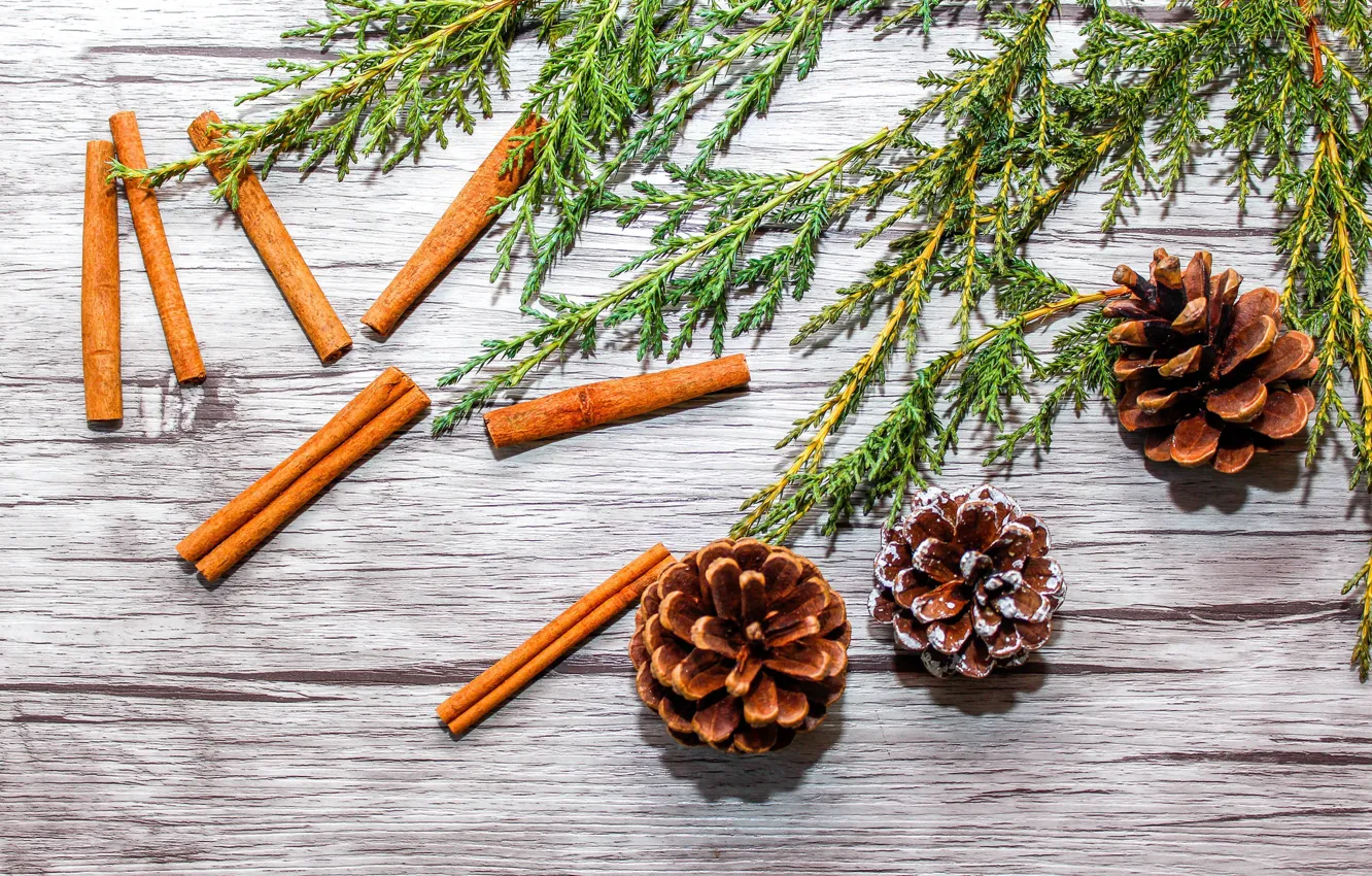 Photo wallpaper new year, cinnamon, needles, bumps