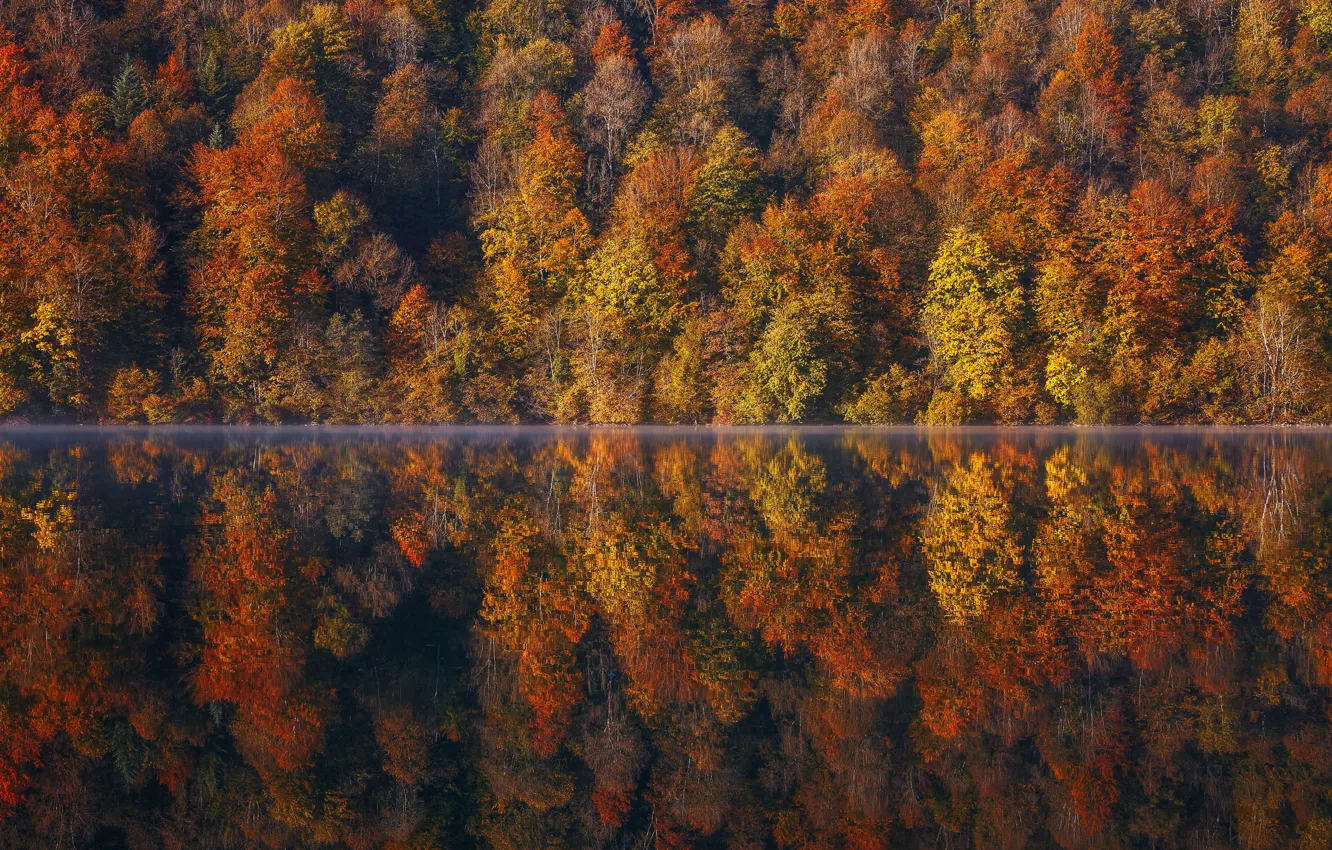 Photo wallpaper autumn, forest, trees, lake, reflection, France, France, Franche-Comte