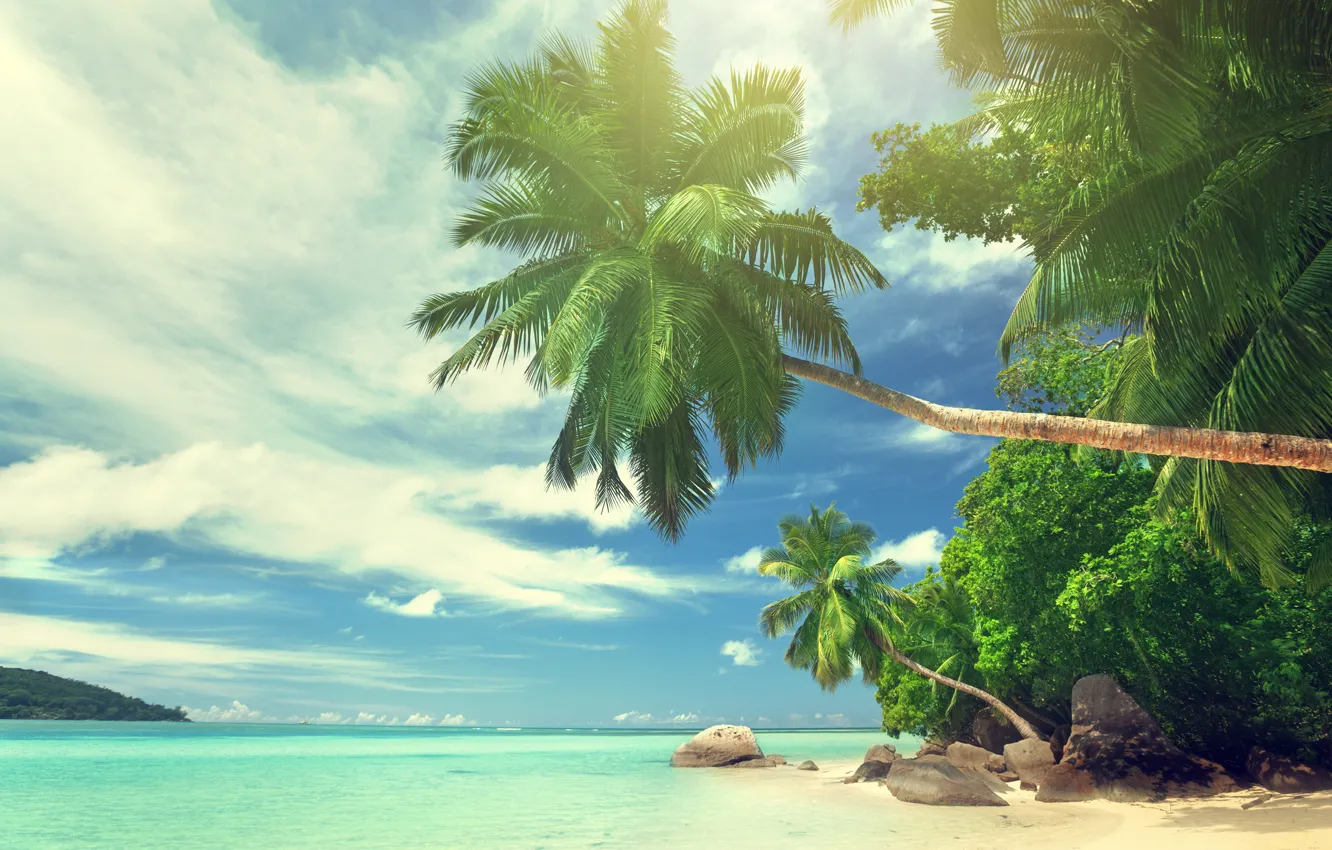 Photo wallpaper sand, sea, beach, the sun, tropics, the ocean, shore, island