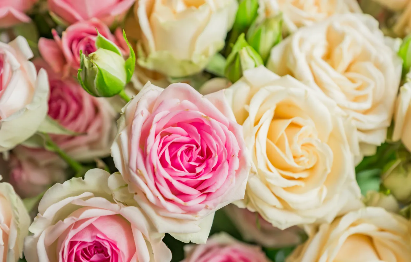 Photo wallpaper flowers, roses, bouquet, Yarovoy Aleksandr