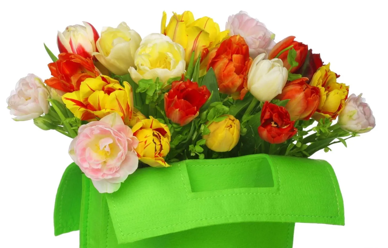 Photo wallpaper flowers, bag, white background, tulips, bouquet