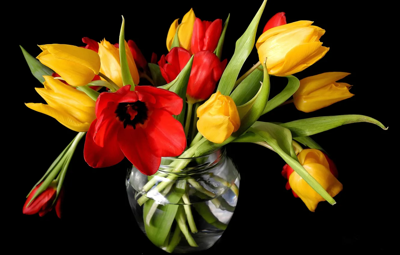 Photo wallpaper flowers, spring, yellow, tulips, red, vase, black background, buds