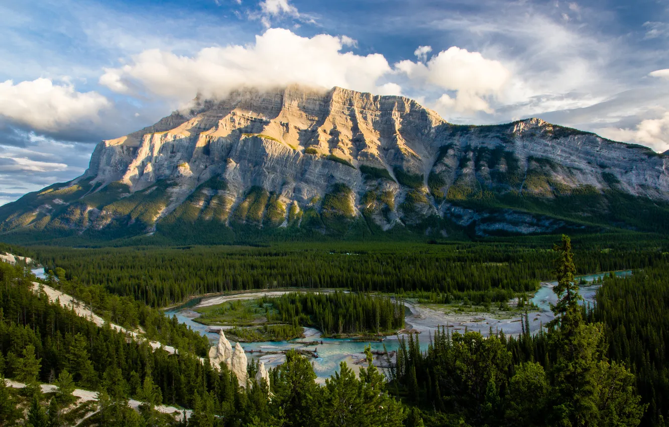 Photo wallpaper forest, landscape, mountains, nature, river, Canada, Banff National Park