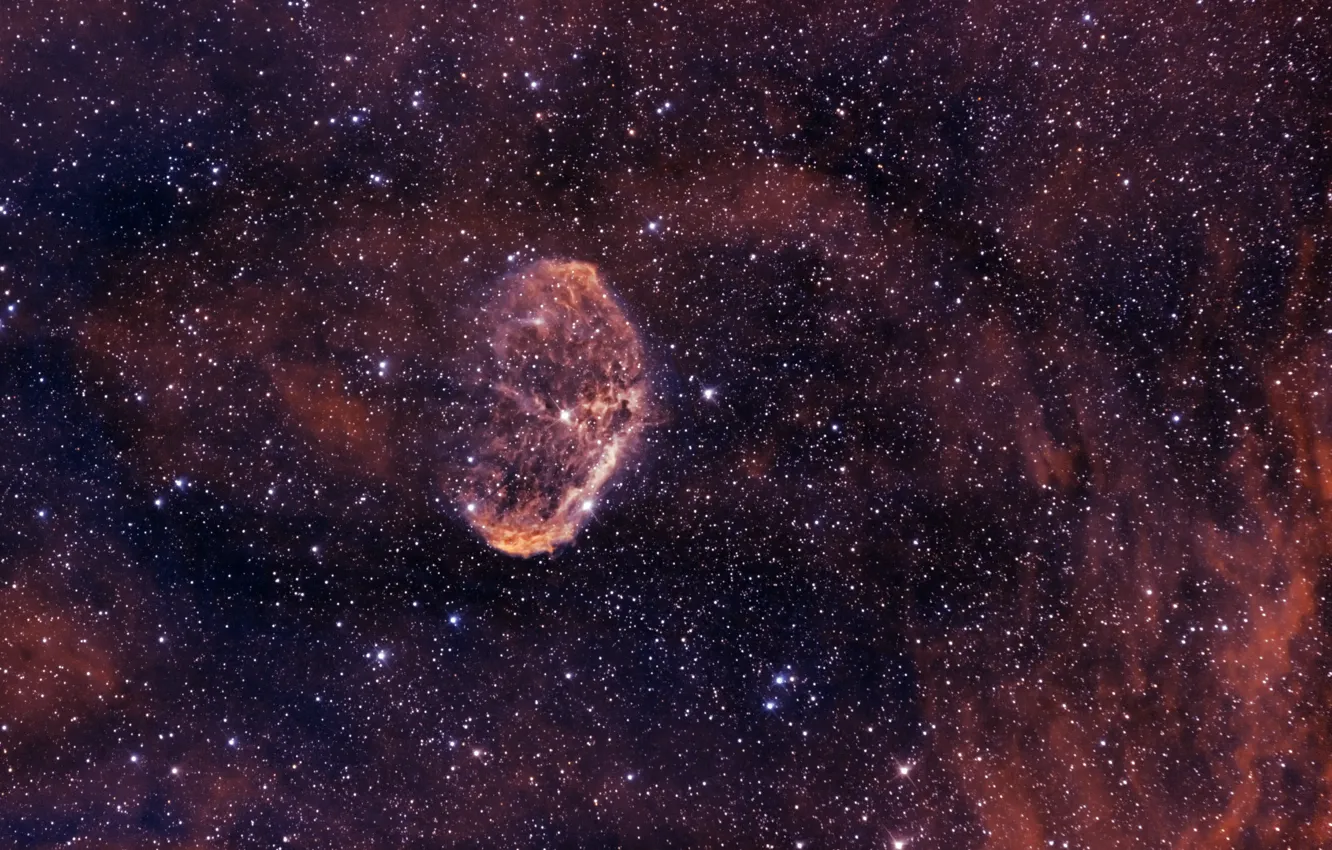 Photo wallpaper swans, in the constellation, Nebula Crescent, Crescent Nebula