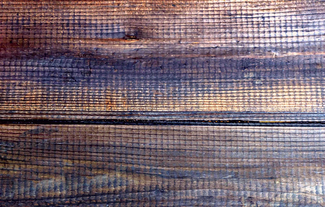 Photo wallpaper trees, color, texture, finish