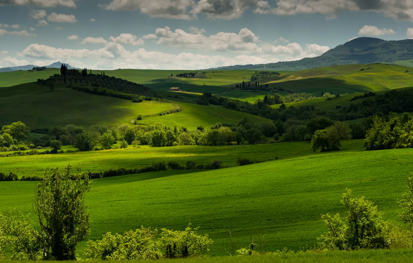 Photo wallpaper greens, field, grass, clouds, trees, hills, meadow, Italy