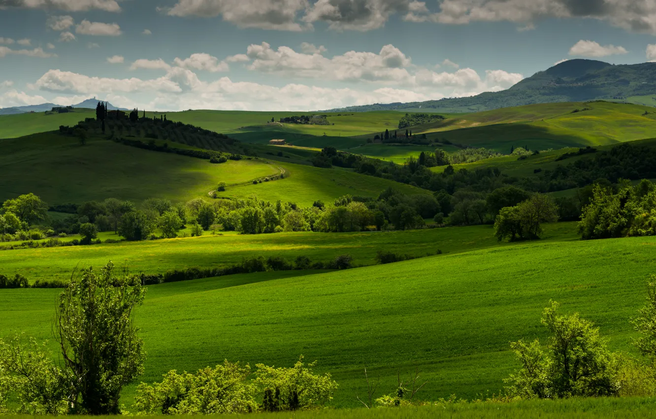 Photo wallpaper greens, grass, clouds, trees, hills, field, Italy, meadows