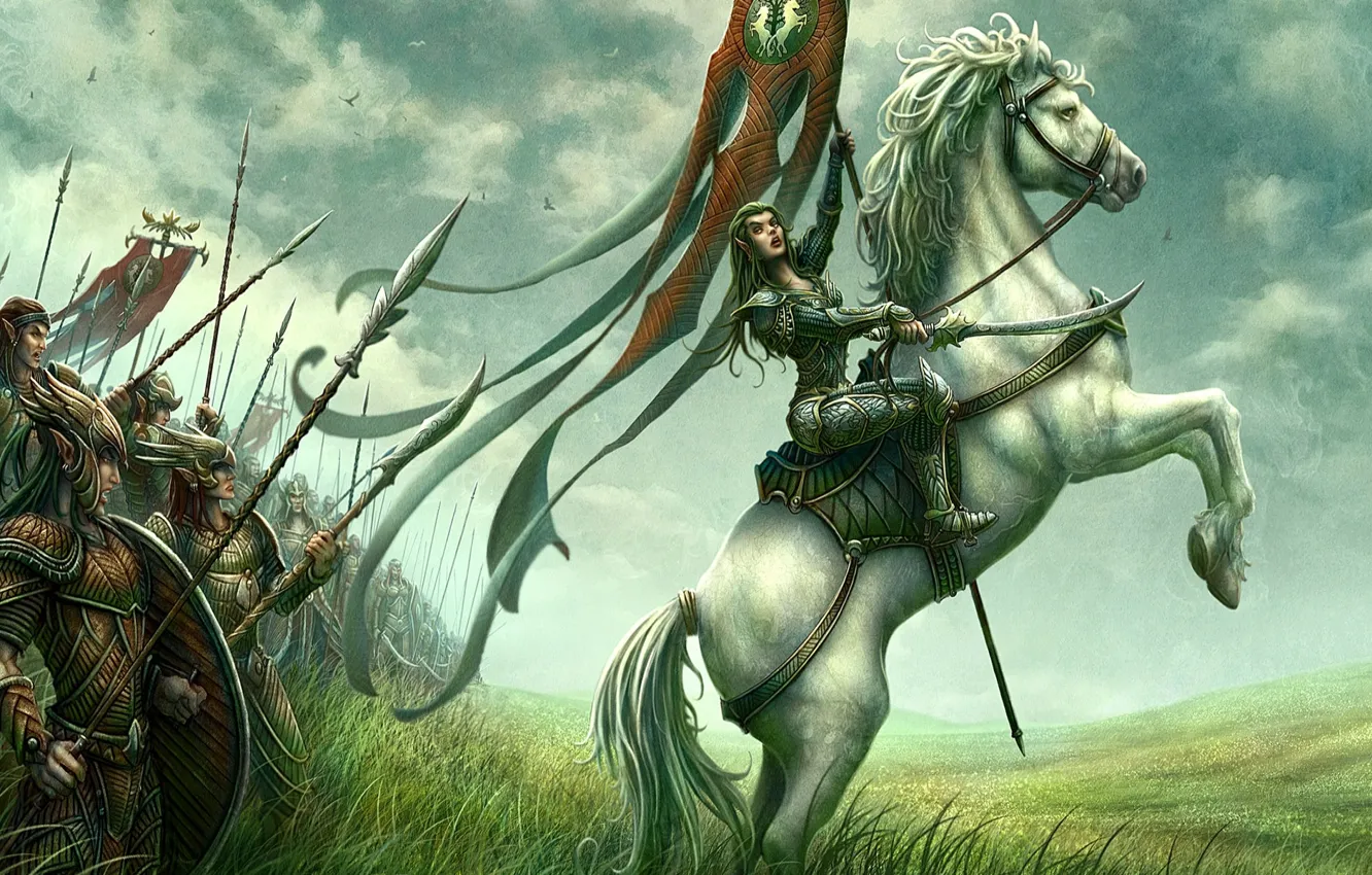 Photo wallpaper field, horse, figure, rider, fantasy, elf, kerem couplets, army
