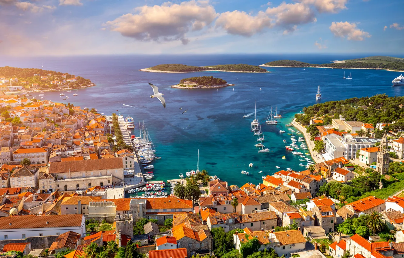 Photo wallpaper sea, seagulls, home, yacht, Croatia, Hvar