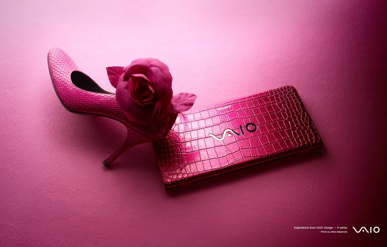 Photo wallpaper laptop, pink background, Shoe