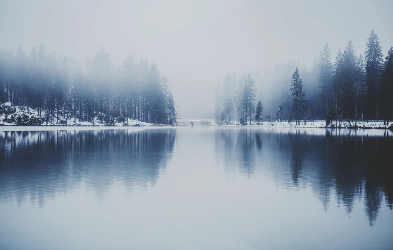 Photo wallpaper winter, fog, lake, reflection