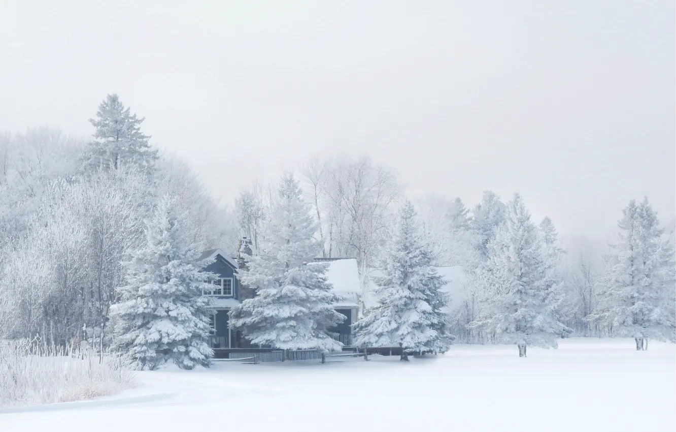 Photo wallpaper winter, forest, snow, nature, frost, house