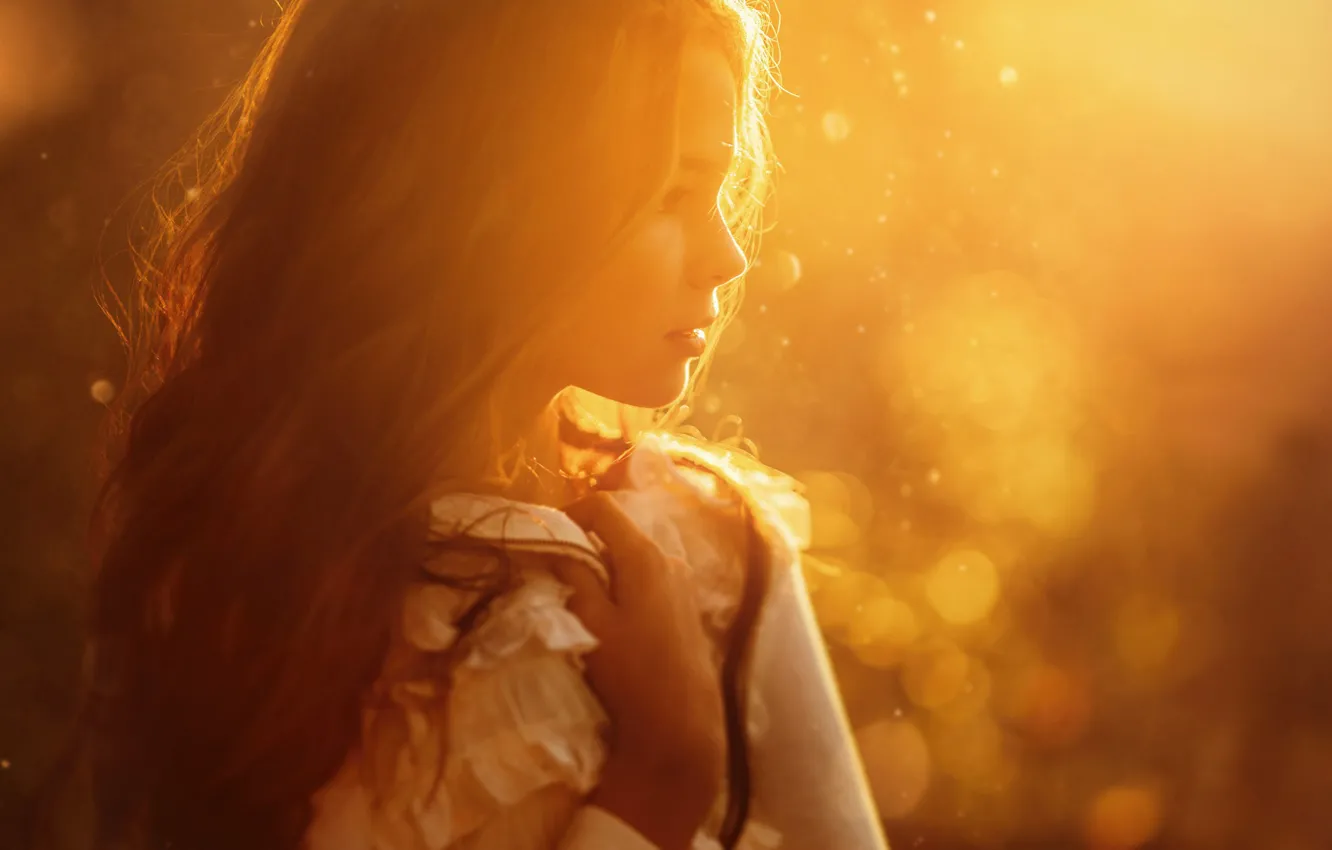 Photo wallpaper the sun, girl, profile, the beauty, Sergey Piltnik